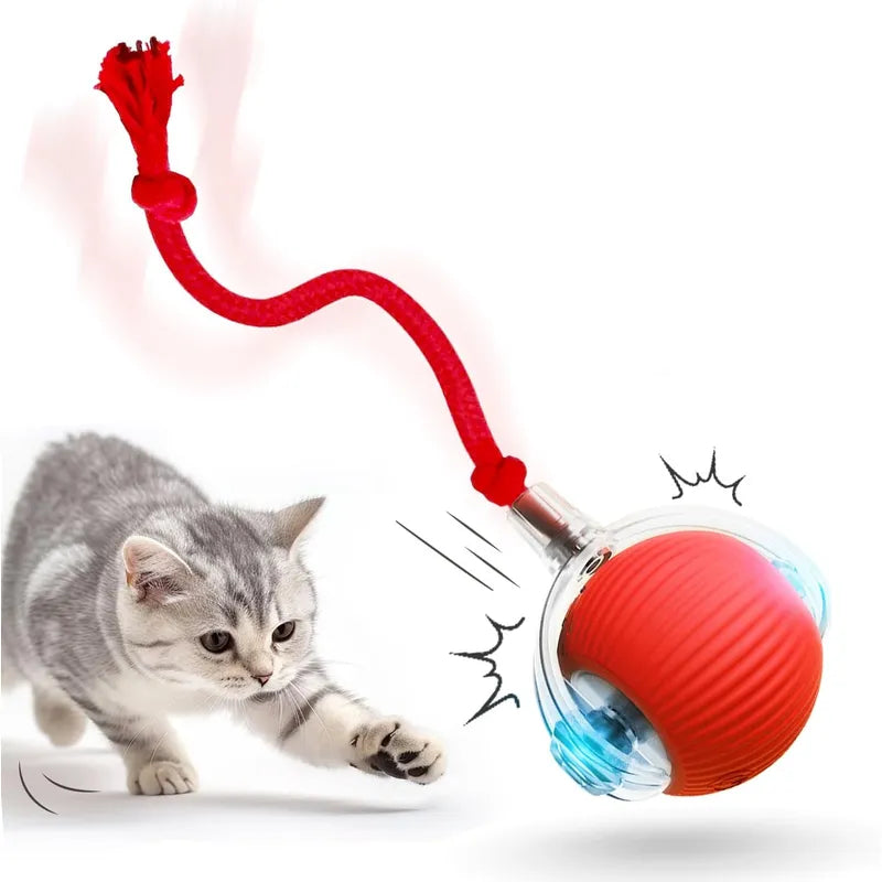 PELOTA INTERACTIVO PARA GATOS con Soga
