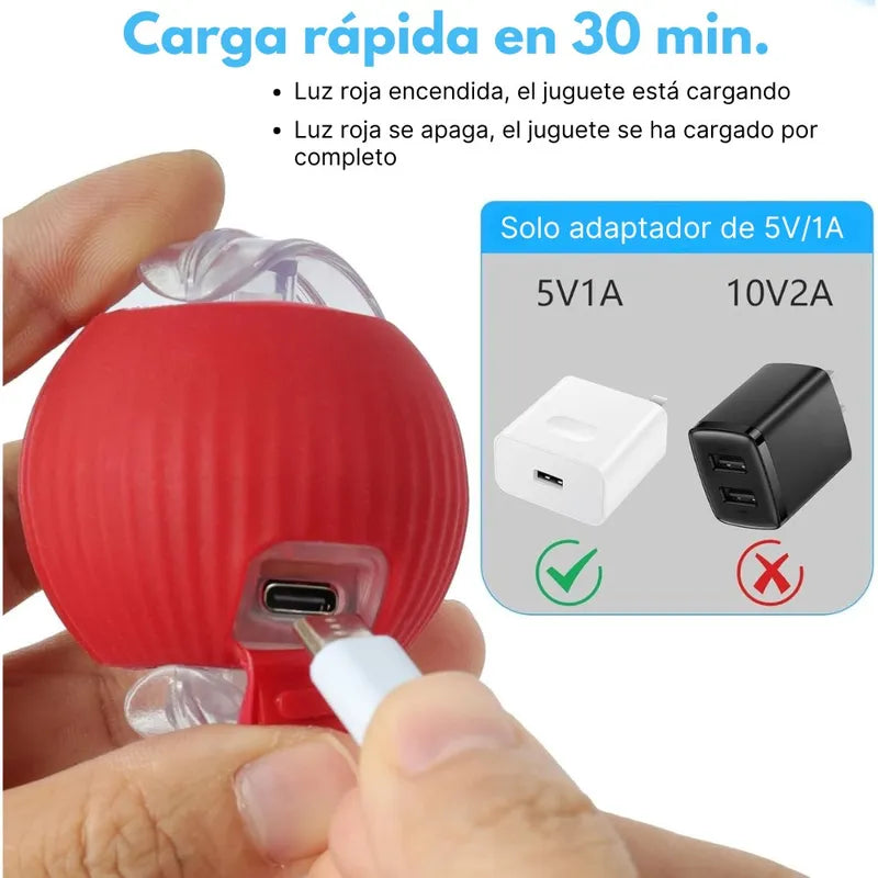 PELOTA INTERACTIVO PARA GATOS con Soga